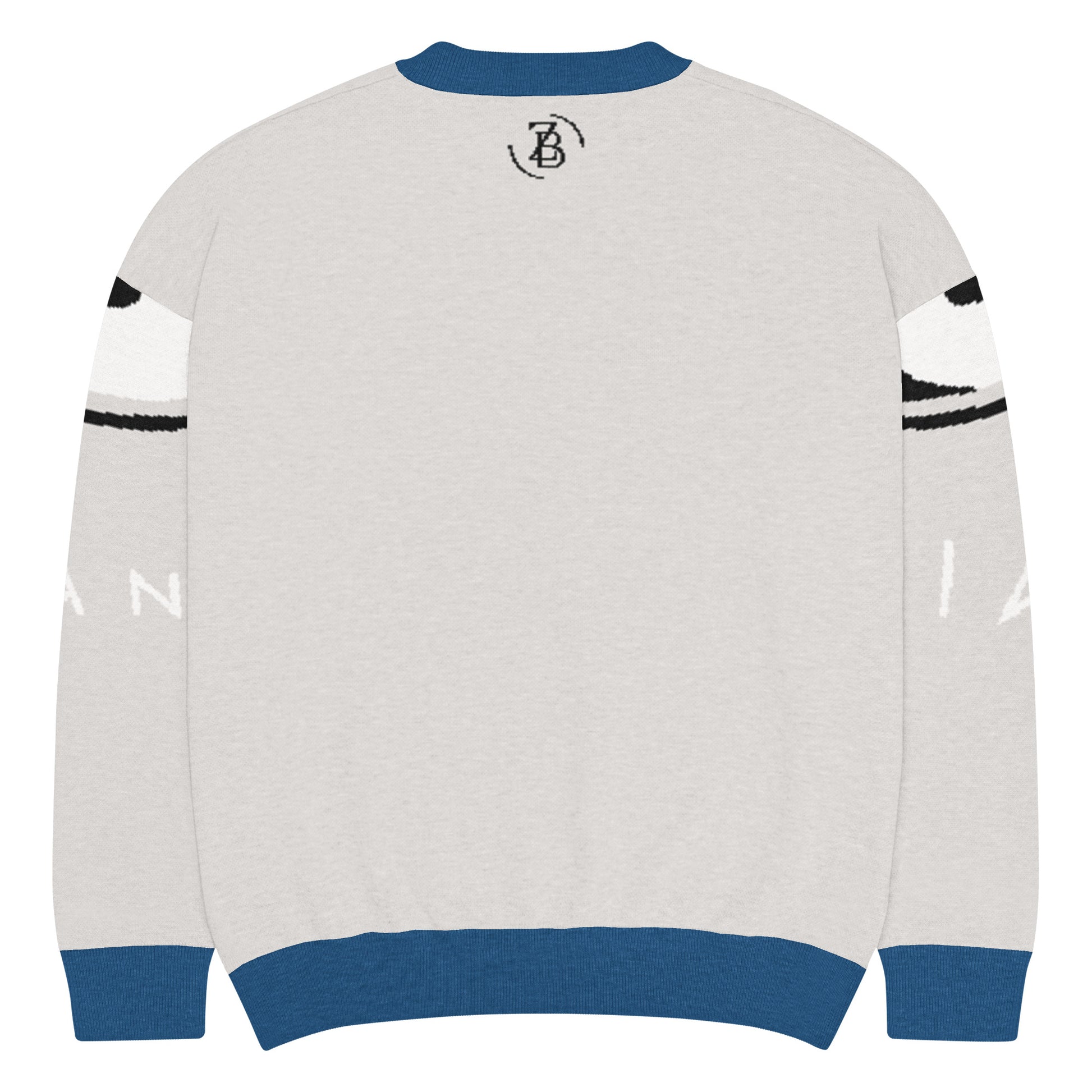Gray sweater with blue accents and a logo on the back, displayed against a white background.