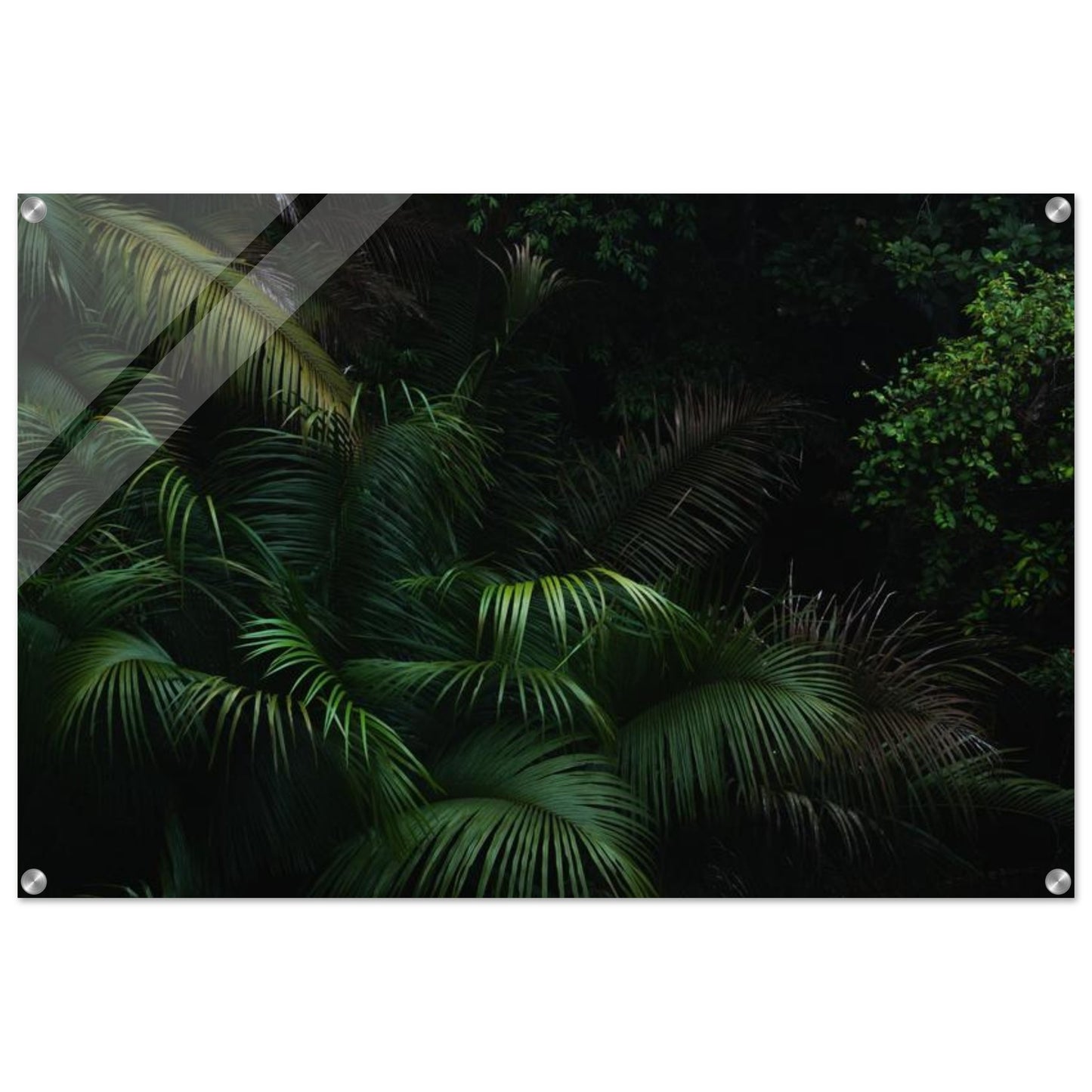 01d99293-eb30-422d-af27-cdee23cc8eda