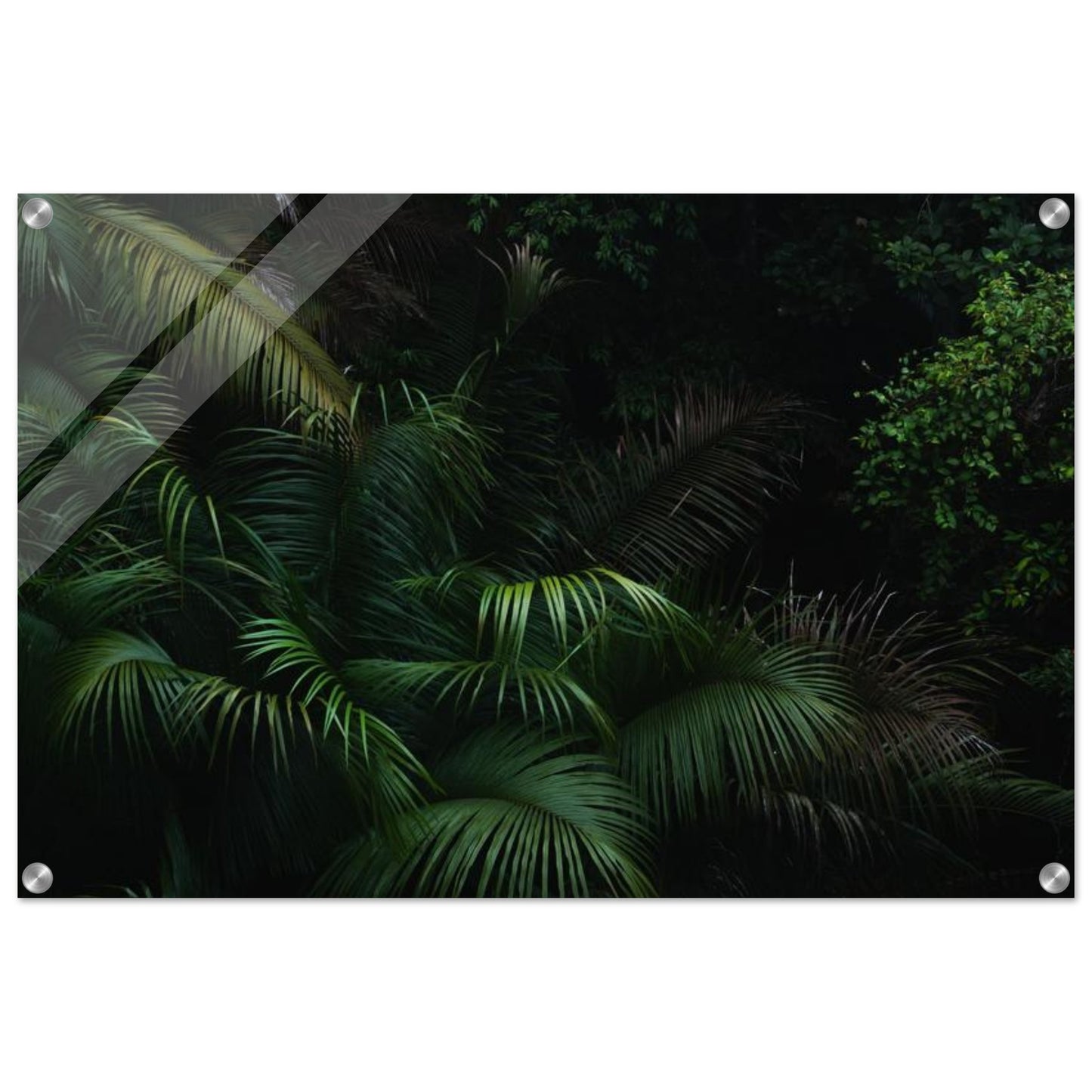 0cbaeb5c-b61a-4d4a-8131-70c91ccbec1f