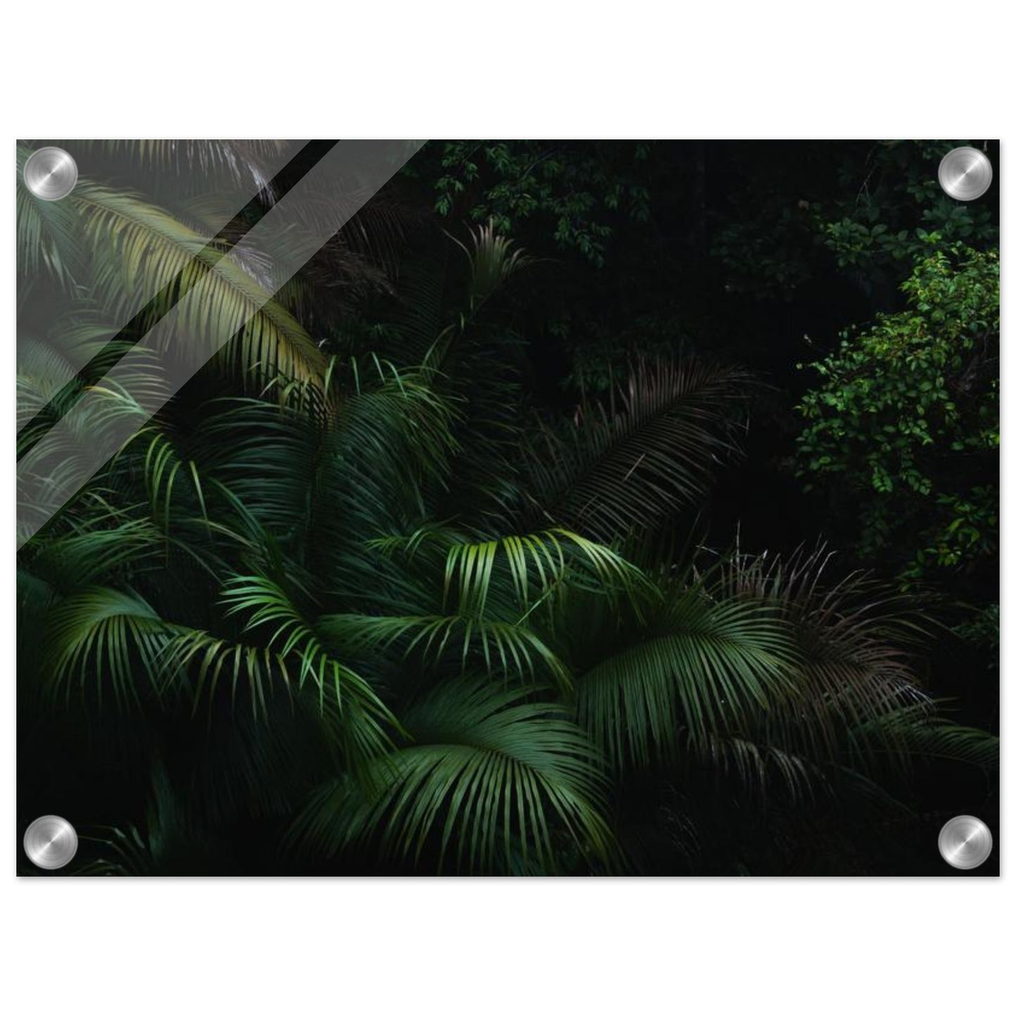 0eeb5876-0098-48e8-8078-12da17ace641