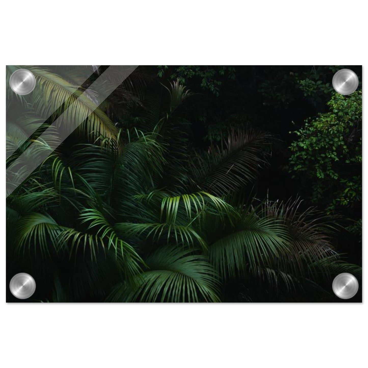 3db6550d-e124-4960-80e7-51150f993889