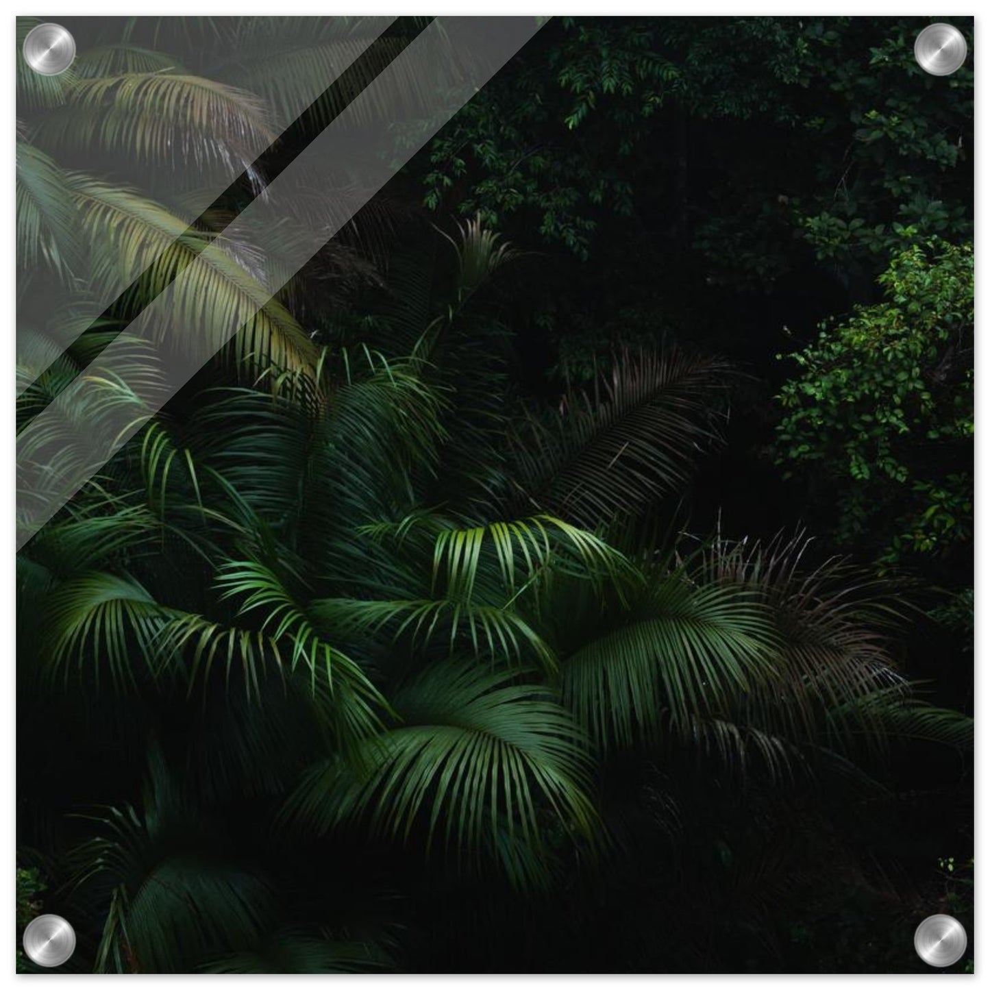 4319d6c3-7f5f-463e-9e44-3e2553347a6c