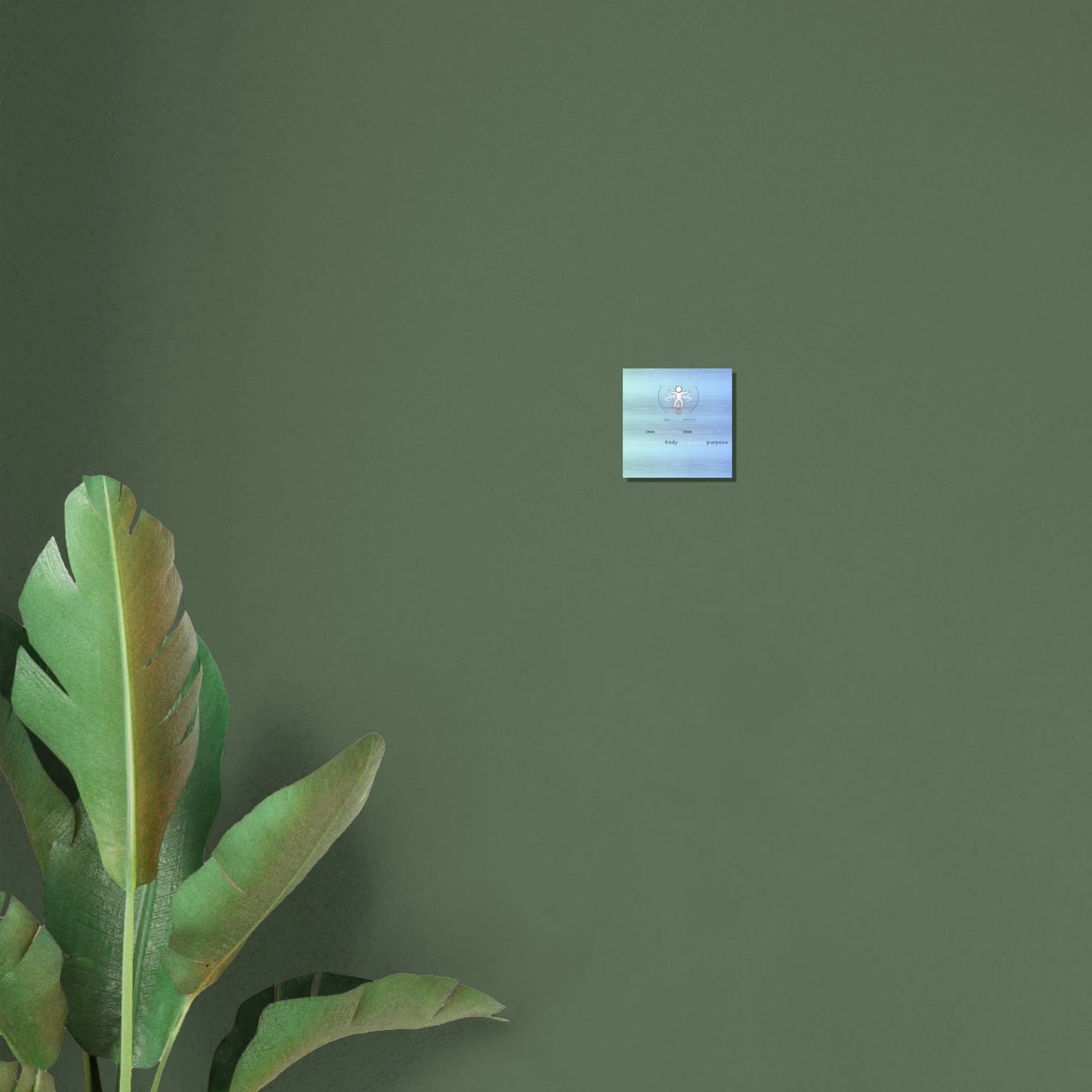Fern leaves on a green wall with a small square image of water and ripples.