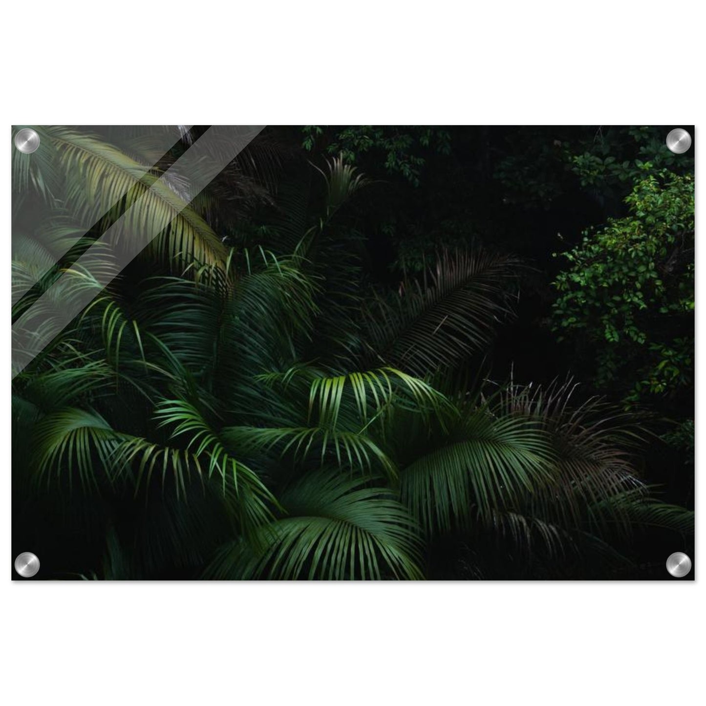 5dcdea71-205b-4545-86a1-7475a90ea47a