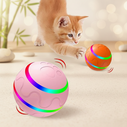 Two colorful rotating ball toys with a cat reaching out to them on a light background.