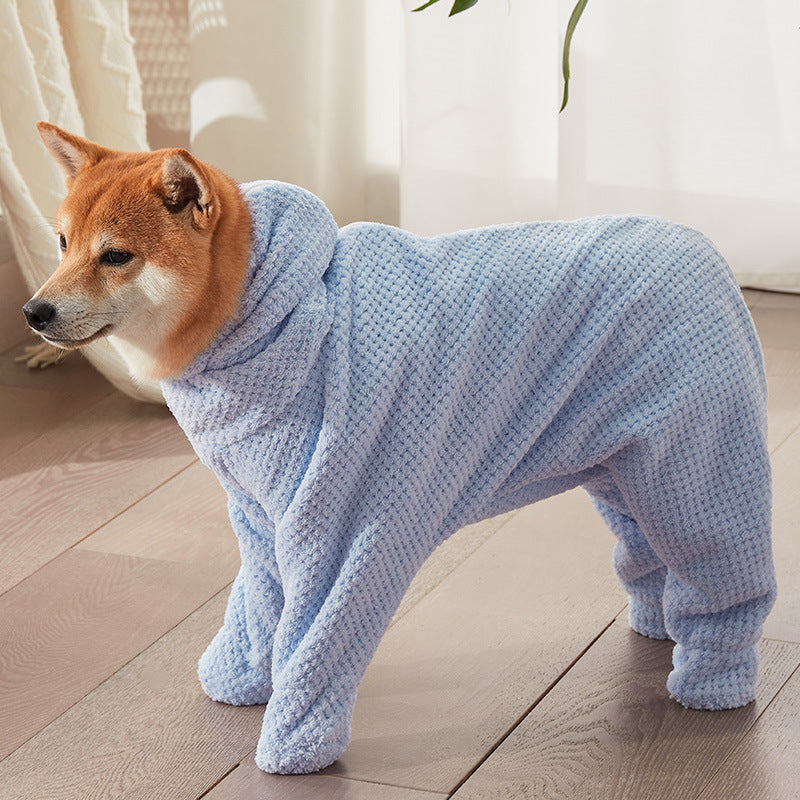 Dog wearing a blue knitted onesie standing on a wooden floor.