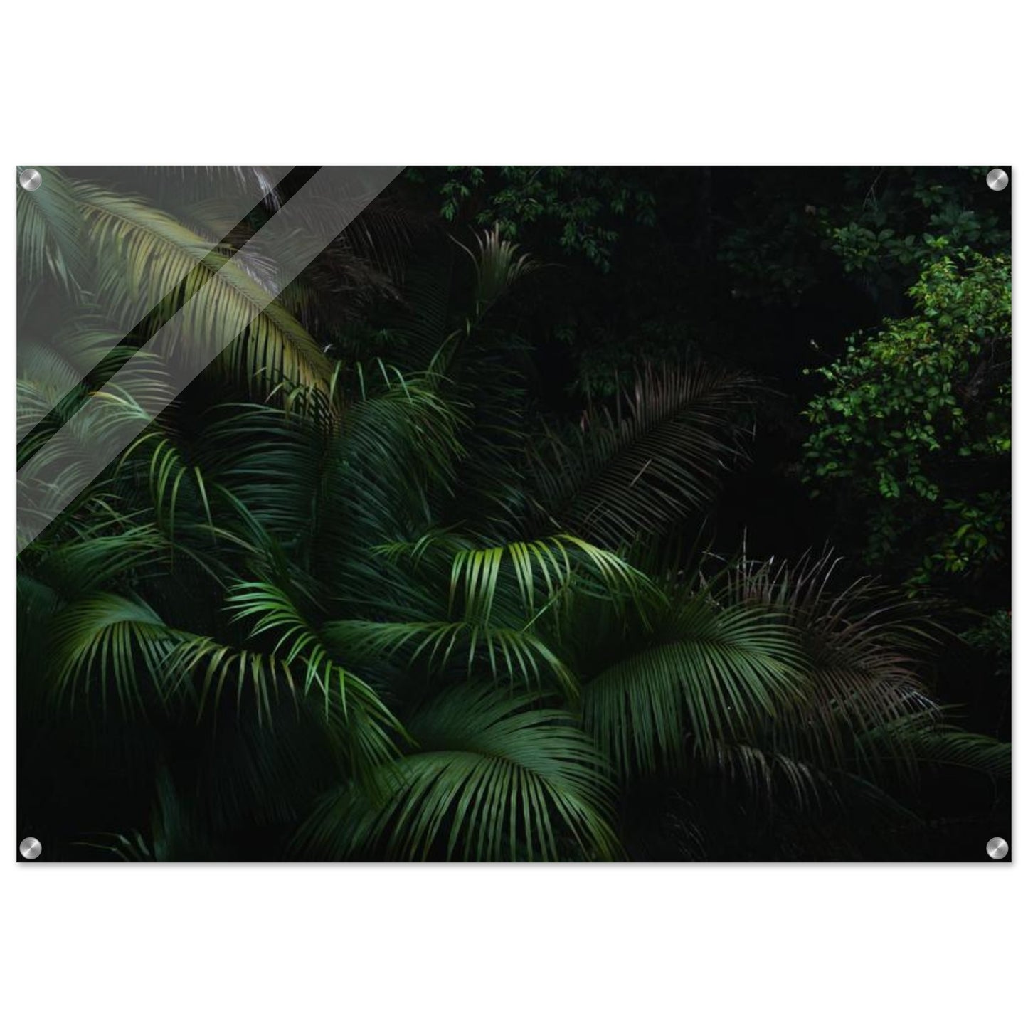 7aa53b30-f58f-422c-a70f-20e74892378a