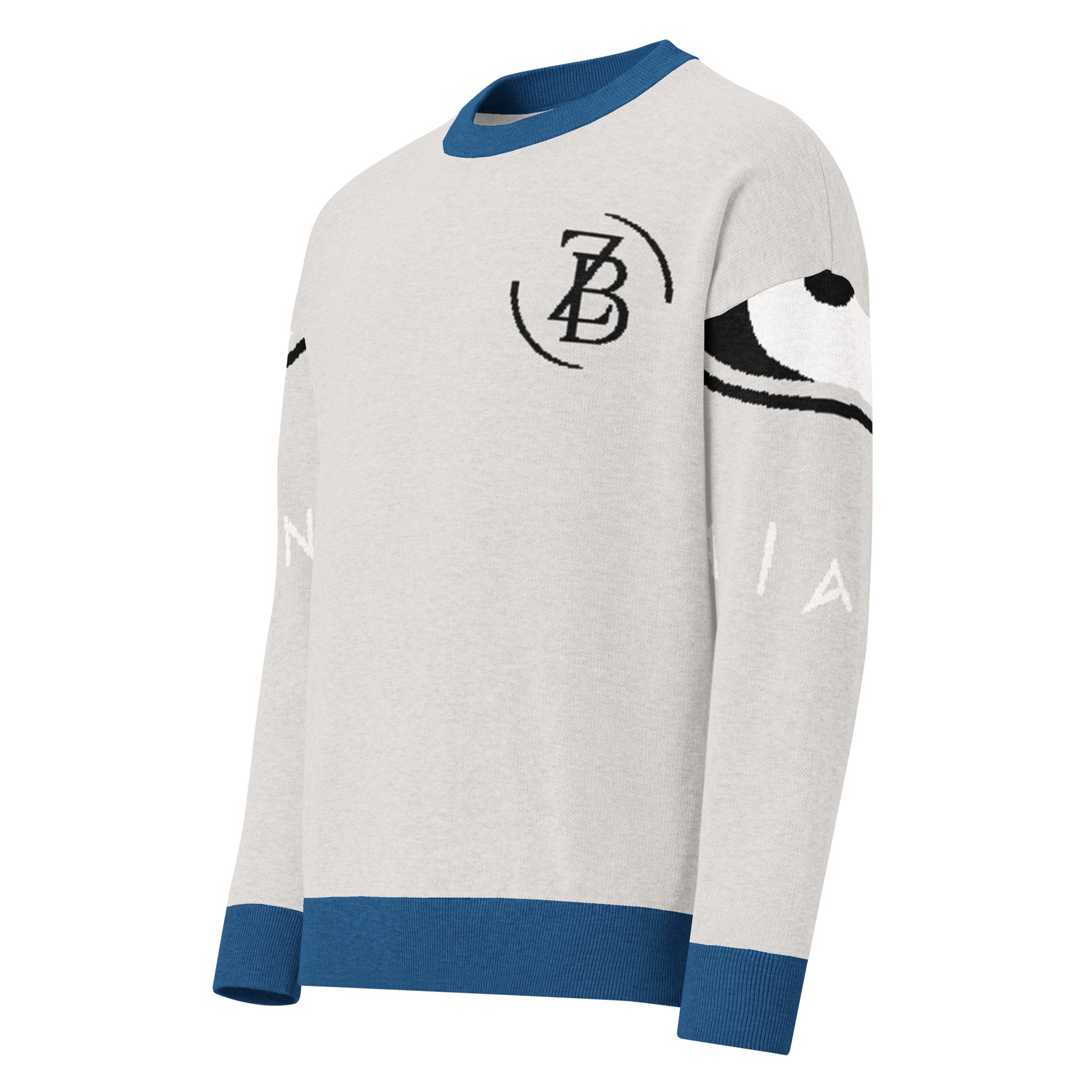 Gray sweater with blue accents and branding on a white background
