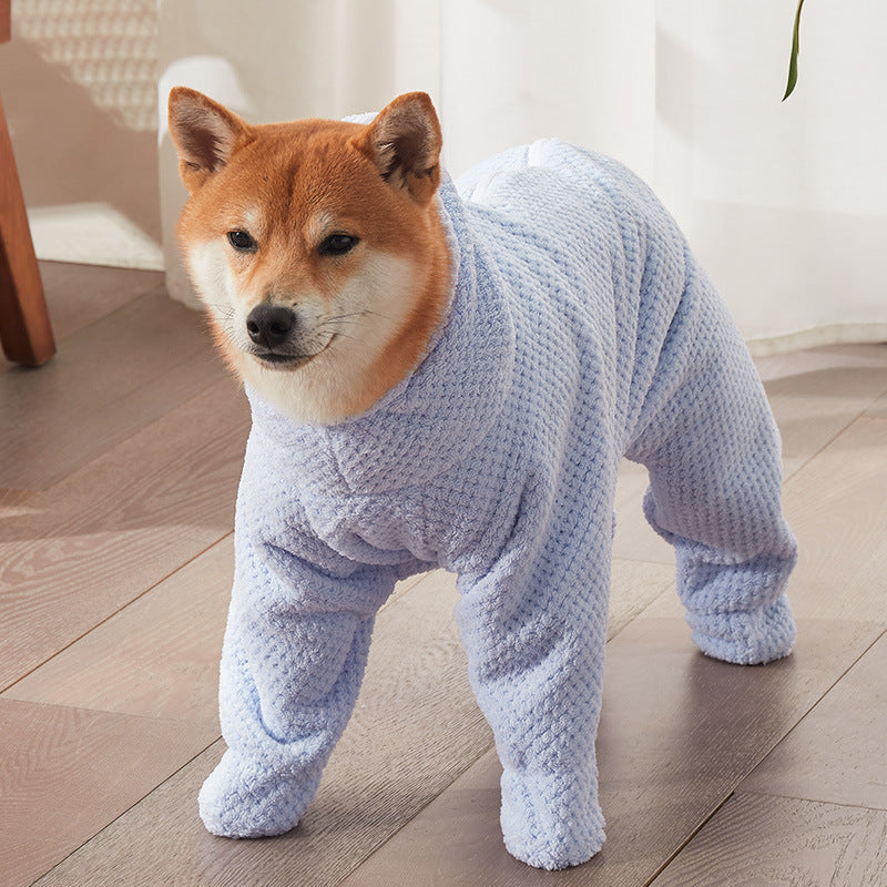 Dog wearing a blue knitted outfit standing on a wooden floor.