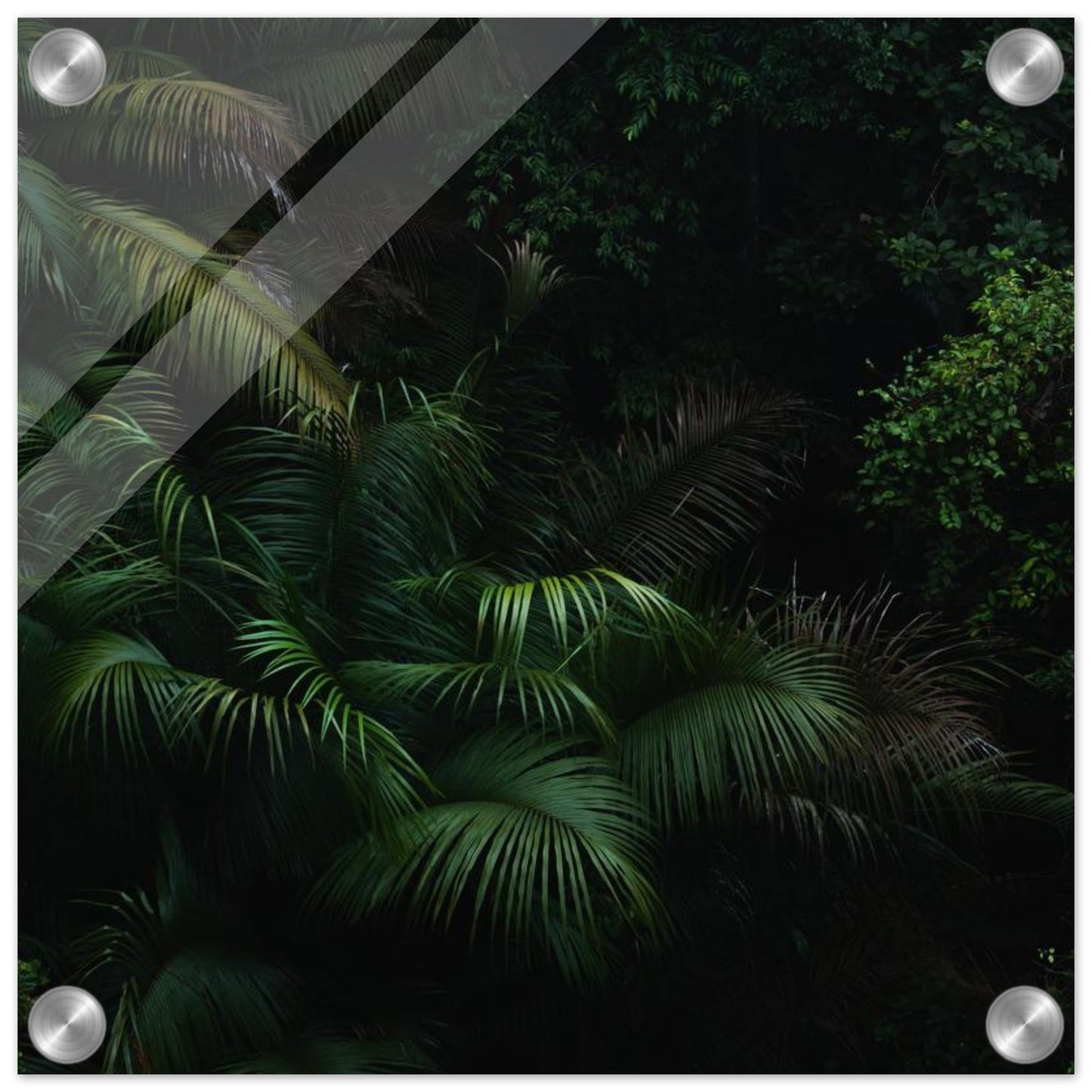 b5405d35-d4bb-4ce1-907c-a35d1ce2b976