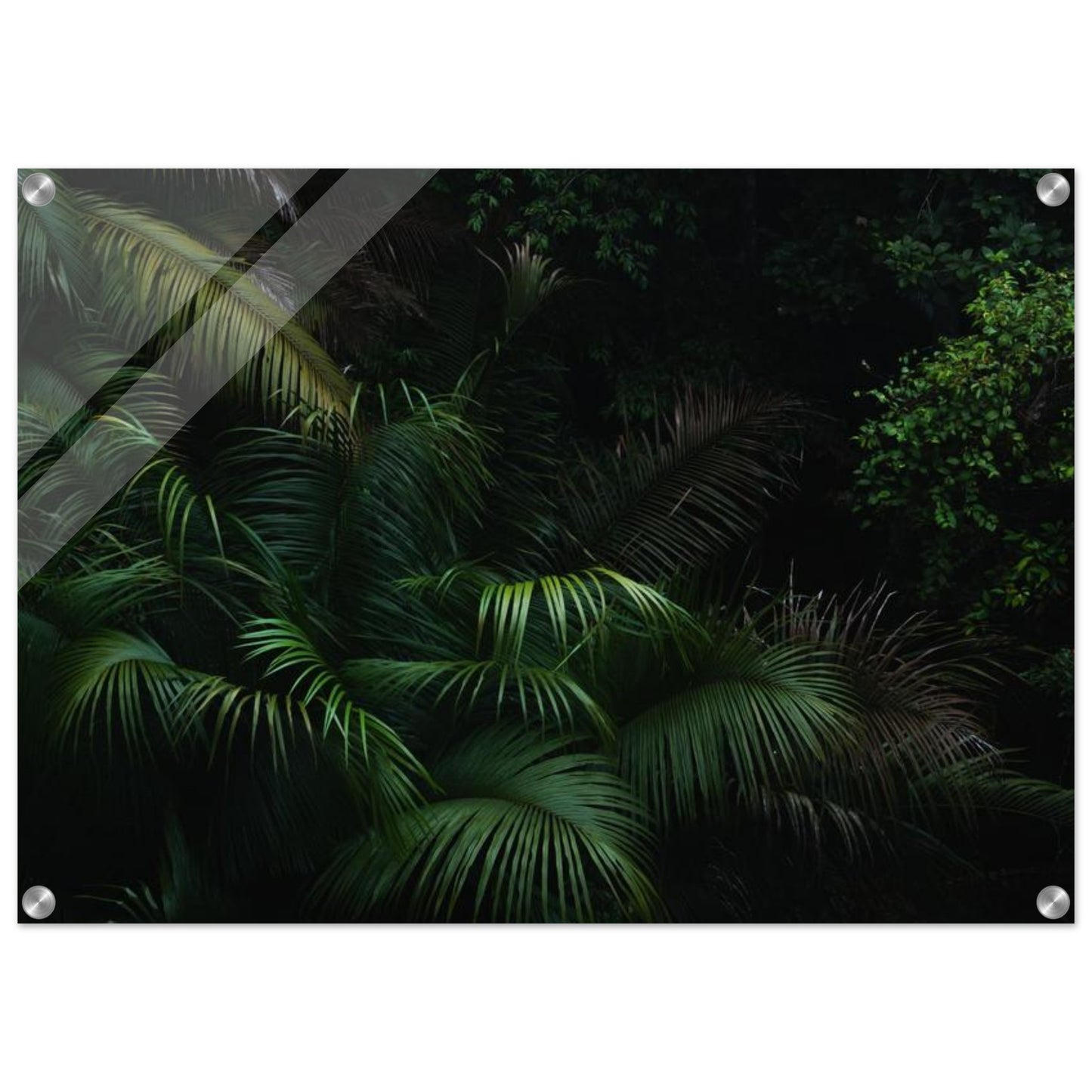 bac46ef1-0676-4a8c-865b-3721e4e3a964