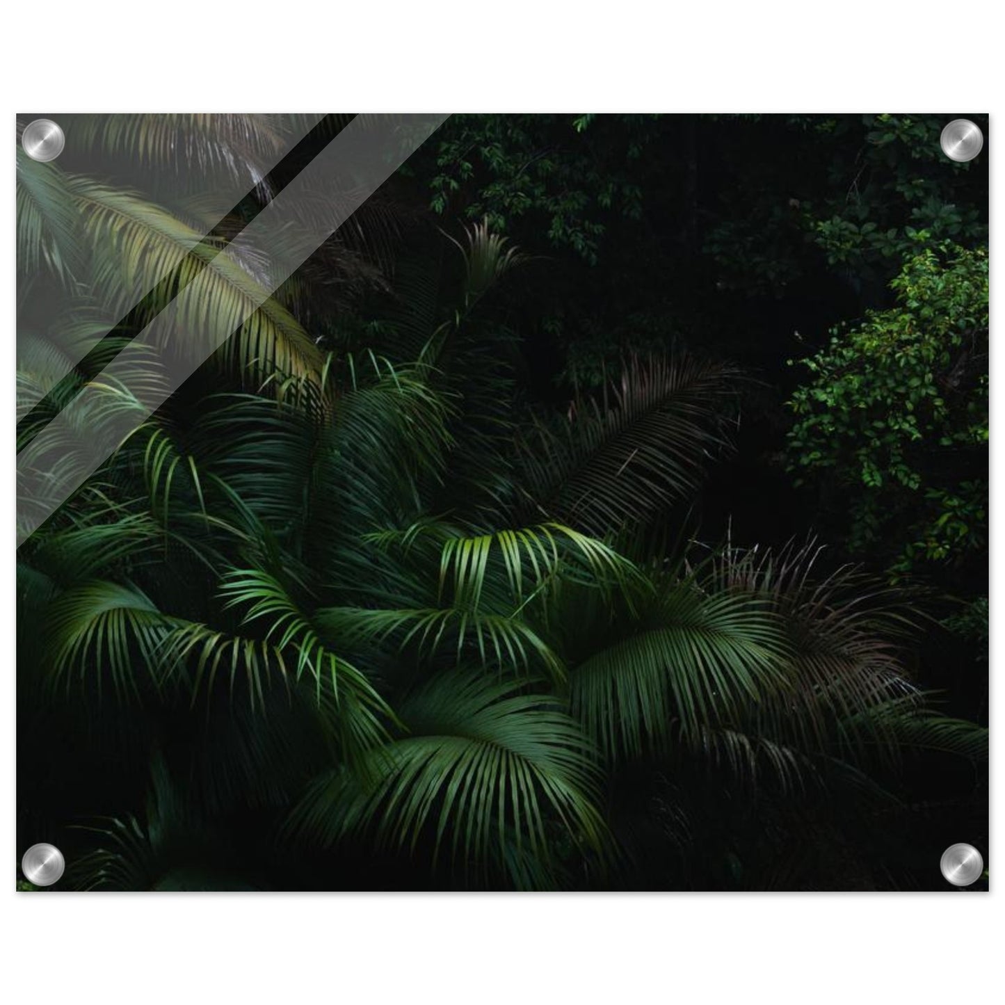 bf741488-7f5f-4af3-89ad-e215f46391d9