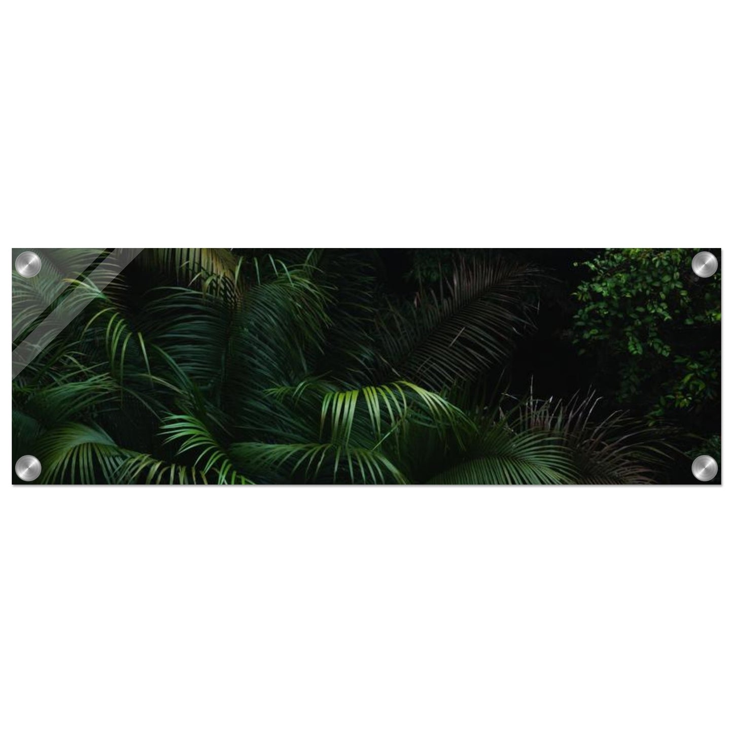 d6cbbd12-d675-4d98-b6c3-a28ec6594c91