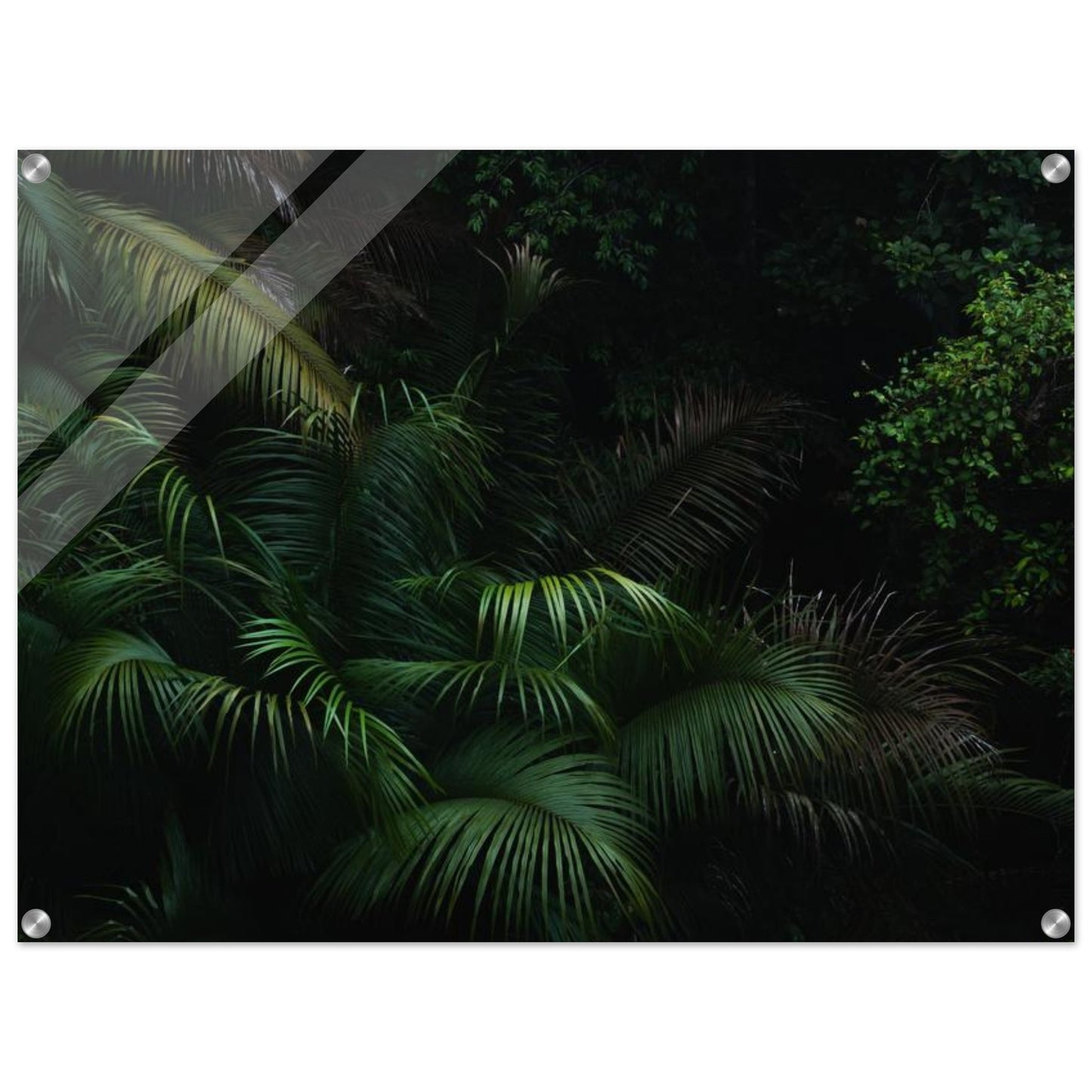 d9f9bd93-eb7a-46d4-bafc-21bc65415939