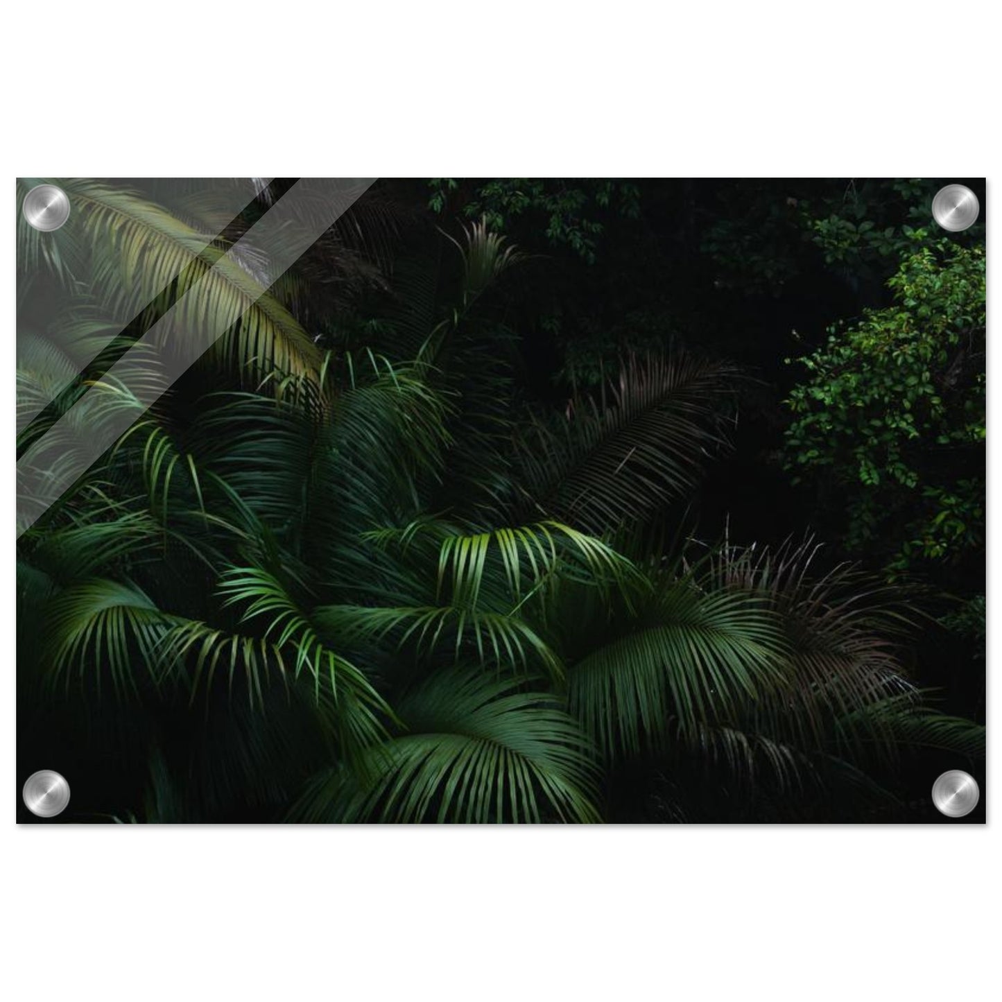 f97318f2-1b06-4c20-9ffa-69c5c2c68612