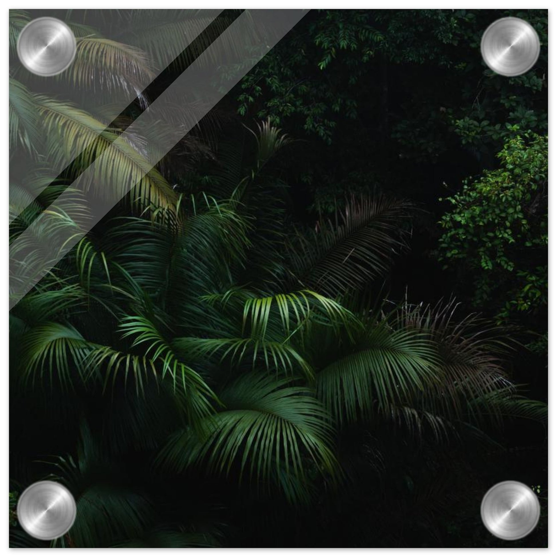 fb721e65-0fc8-45ce-bd4e-3d867fd6e0d6